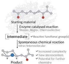 Enzyme‐Triggered Reactions for the Synthesis of Organic Molecules - Martin  - 2023 - European Journal of Organic Chemistry - Wiley Online Library
