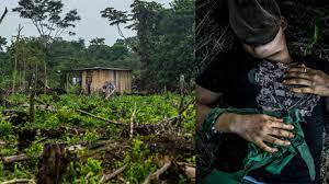 Deshalb solltest du dir folgende dinge besorgen: Aufwachsen Auf Einer Kokain Plantage