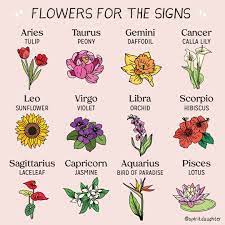 Spirit Daughter S Instagram Photo May Flowers Each Zodiac Sign Has Its Own Scents Flowers Colors Fab Zodiac Signs Leo Tattoo Zodiac Signs Zodiac Flowers