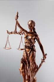 Image result for Justicia engleriana