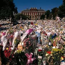 Here S How Princess Diana Spent Her Final Months Princess Diana Princess Diana Family