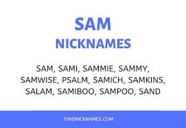 Hello and welcome guys, today i am going to share best free fire name boss. 79 Cute And Funny Nicknames For Sam Find Nicknames