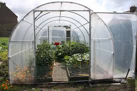 Amenagementdeserre Jardinage Agriculture Diy Bricolage Serredejardin Serredeculture Potager Jardin En 2020 Jardin Francais Serre Jardin Serre De Jardin Tunnel