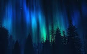 Higher Resolution Picture Of Northern Lights Over Fir Trees At 1440x900 Uploaded By Leontine Northern Lights Wallpaper Northern Lights Painting Northern Lights