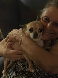 💔It's over. The vet just left with my baby. She made it an amazing  experience. The day was long, grueling and exhausting. The last hour was so  sad but spent snuggling outside