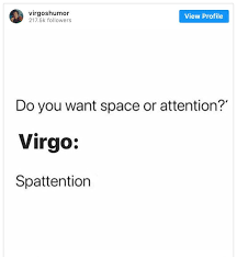 29 Perfect Virgo Memes You Know You D Hear It If They Weren T In 2021 Funny Virgo Quotes Virgo Memes Virgo Quotes
