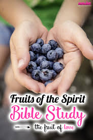 The Fruit Of Love Fruit Of The Spirit Bible Study Topics Bible Study