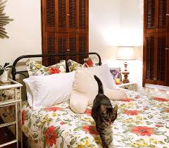 Dreamy modern mediterranean bedroom + bathroom 14 photos. Daydreaming Of A Winter Bedroom Makeover Bumble And Bustle