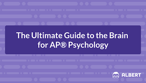 Word allows sorts by text, by number, and by date, and even permits three levels of sorting. Brain Ultimate Guide To The Brain For Ap Psychology