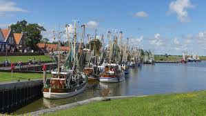 We did not find results for: Ostfriesland Urlaub An Der Nordseekuste