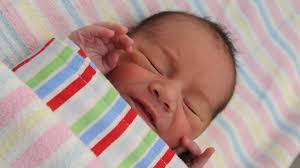 GALLERY: Hello World