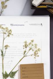 Ein herbarium ist wunderschön und für kinder und jugendliche eine tolle gelegenheit, pflanzen in ihrer umgebung besser kennen zu lernen. Herbarium Starter Kit Www Herbarium Vorlagen De