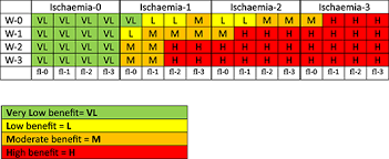 Image result for IDSA Diabetic Foot Wound Classification