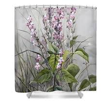 Image result for Buchnera