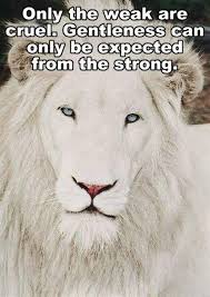 Only after it has ambushed and killed its prey does the lion roar. 677 Motivational Inspirational Quotes Warrior Quotes Inspirational Quotes Inspirational Quotes Motivation