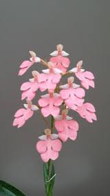 Image result for Habenaria nyikana