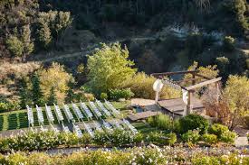 Serendipity Garden Weddings Yucaipa California Serendipity Garden Weddings Wedding Locations California Northern California Wedding Venues