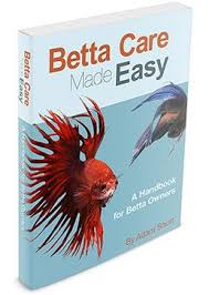 Betta Care Made Easy Review Betta Fish Care Betta Betta Breeding