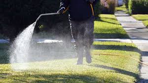 We did not find results for: How Long Does It Take For 2 4 D To Work Yard Work Hq