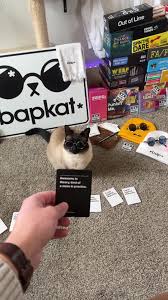 Crazy Cat Behavior: Understanding Why Cats Go Wild