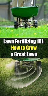 Lawn Fertilizing 101 How To Grow A Great Lawn Lawn Fertilizer Diy Lawn Lawn