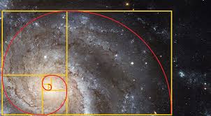Image result for fibonacci series and golden ratio