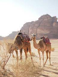 Our team travels to jordan, a country that leaves no one indifferent even to spoiled travelers. Pin On Marble