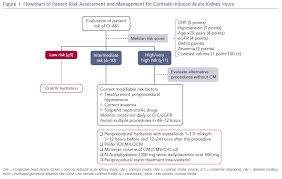 Figure 1 Flowchart Of Patient Risk Assessment And