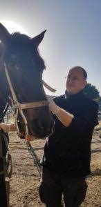 May 26, 2021 · los vecinos afirman que en un momento llegaron a contar unos 50 caballos, pero hoy el número está más cerca de 30. Vacunacion De Los Caballos Madrid Help Horses