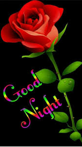Here beautiful good night images for everyone. Good Night Good Night Flowers Good Night Gif Good Night Beautiful