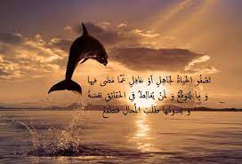 شعر عن بحر