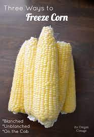 Blanch place the ears of corn into a pot of boiling water and let the water return to a boil. How To Freeze Corn Three Ways Blanched Unblanched And Whole An Oregon Cottage
