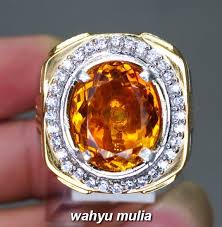 728 x 238 png 233kb. Batu Cincin Permata Natural Golden Yellow Citrine Asli Kode 1363 Wahyu Mulia