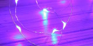 Maybe you would like to learn more about one of these? Purple Fairy Lights Buy Today From Festive Lights