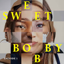 Sliding doors | Sweet Bobby Ep 1 Transcript - Elons Spies | Tortoise  Investigates