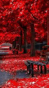 Pin By Dreamscometrue On Arboles Beautiful Nature Wallpaper Beautiful Landscapes Landscape Wallpaper