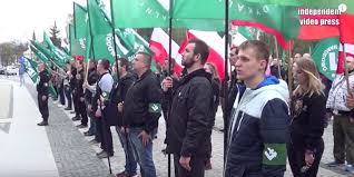 Znalezione obrazy dla zapytania onr falanga