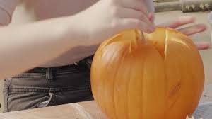 Image result for fat ass pumpkin