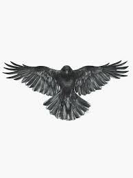 Crow In Flight Sticker Falke Tattoo Tattoo Handrucken Und Tattoo Rucken
