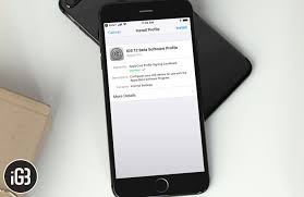 How To Download And Install Ios 14 2 Public Beta 3 On Your Iphone Igeeksblog Iphone Installation Samsung Galaxy Phone