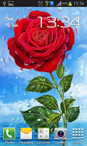 Зеленая трава с росой на обои. Summer Rain Flowers Na Android Skachat Besplatno Zhivye Oboi Dlya Android