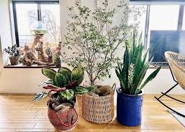 Image result for インテリア