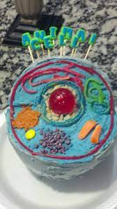 Nikola is one of the world's most famous electric car technology companies. Pin By Michelle Woodcock On Ants Cells Project Edible Cell Project Biology Projects