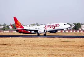 spicejet shares surge over 8 on announcement of new