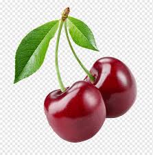 Cherry tomato plants ship in spring at proper planting time. Cherry Tomato Food Bing Cherry Graphy Cherry Juice Natural Foods Frutti Di Bosco Food Png Pngwing