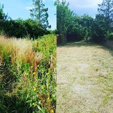 Maybe you would like to learn more about one of these? How To Tackle An Overgrown Garden Hankintech
