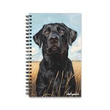 Image result for labrador retrívr