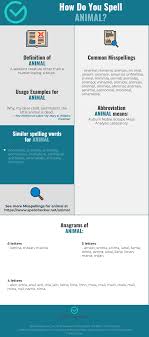 Correct Spelling For Animal Infographic Spellchecker Net