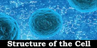 Check spelling or type a new query. Kerala Psc Study Material Biology Structure Of The Cell