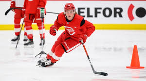 Jesse Kiiskinen emerges as intriguing Detroit Red Wings prospect